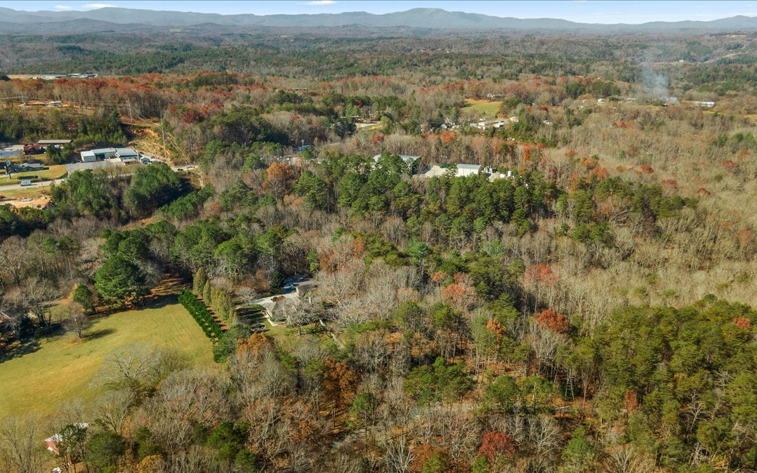 309290 Mineral Bluff Acreage