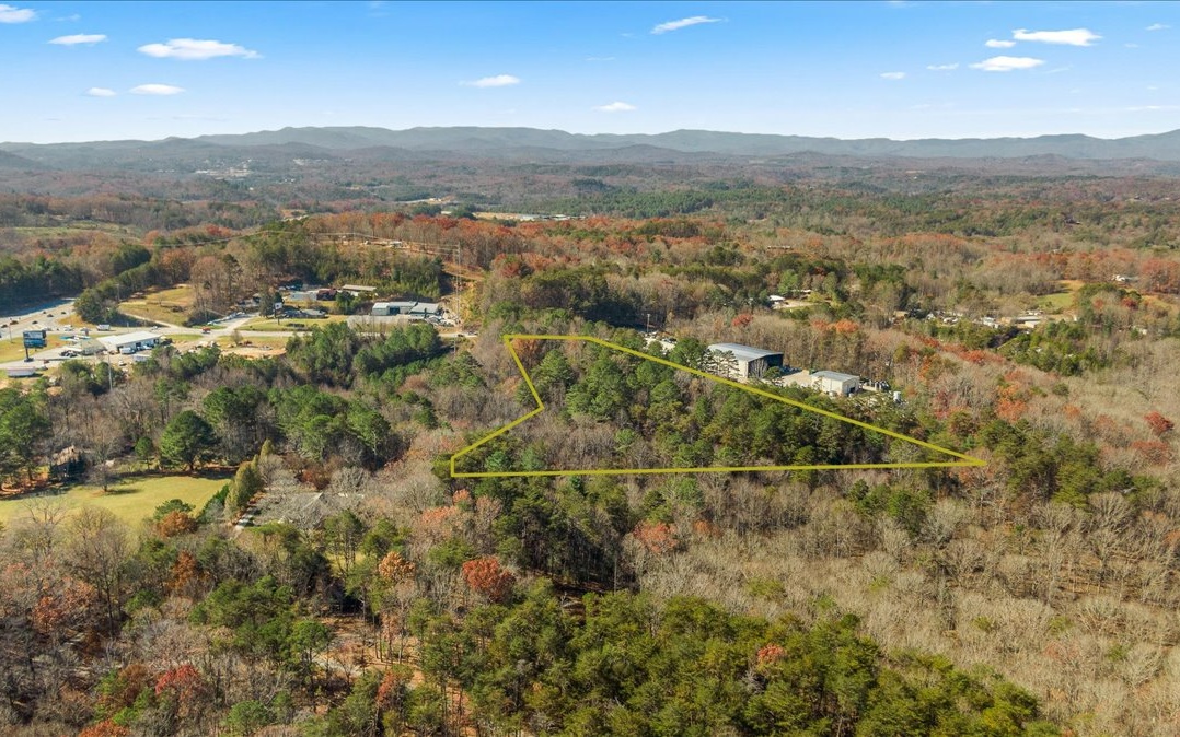 309290 Mineral Bluff Land