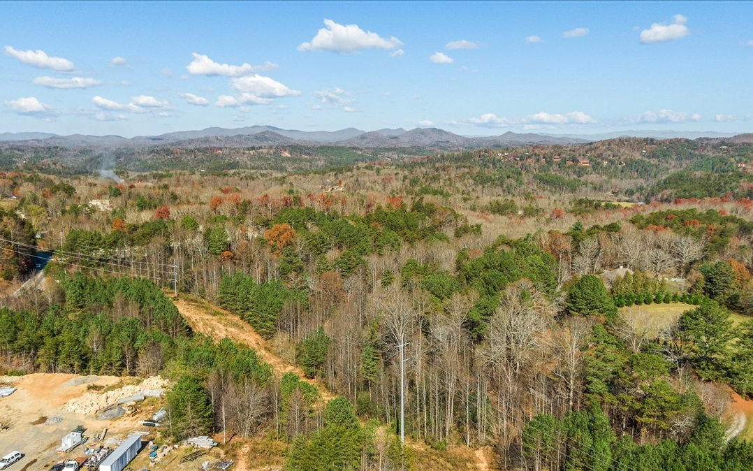 309290 Mineral Bluff Land