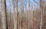 310324 Hayesville Vacant Lot