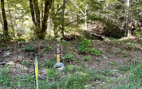 310756 Hayesville
 Land