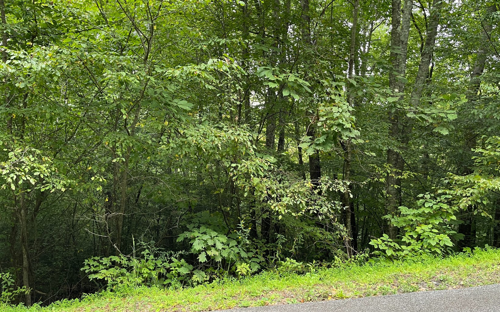 310824  Land