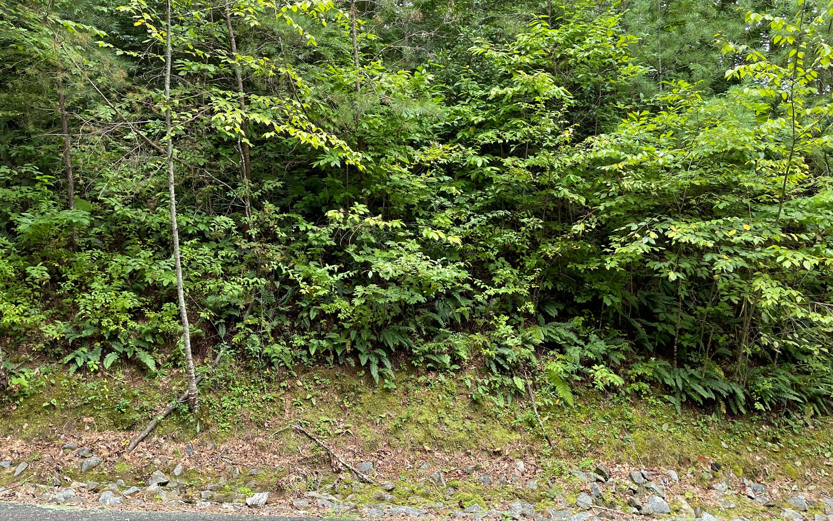 310824 Hiawassee Vacant Lot