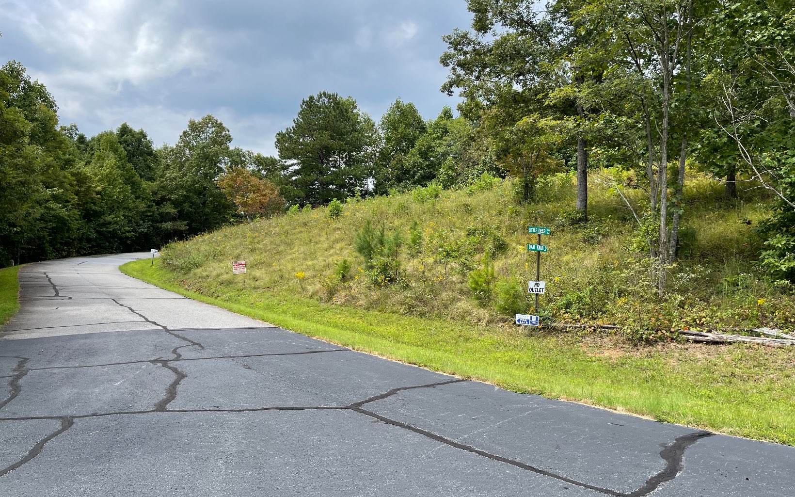 310946 Hayesville Land