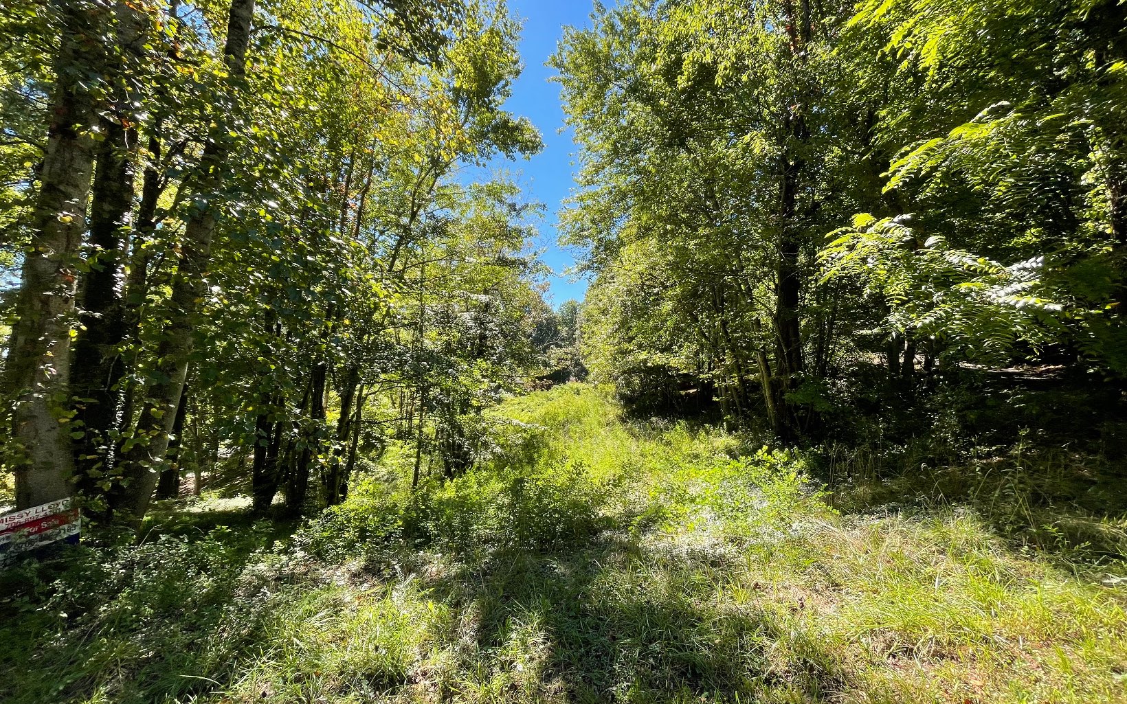 311495 Hayesville Vacant Lot