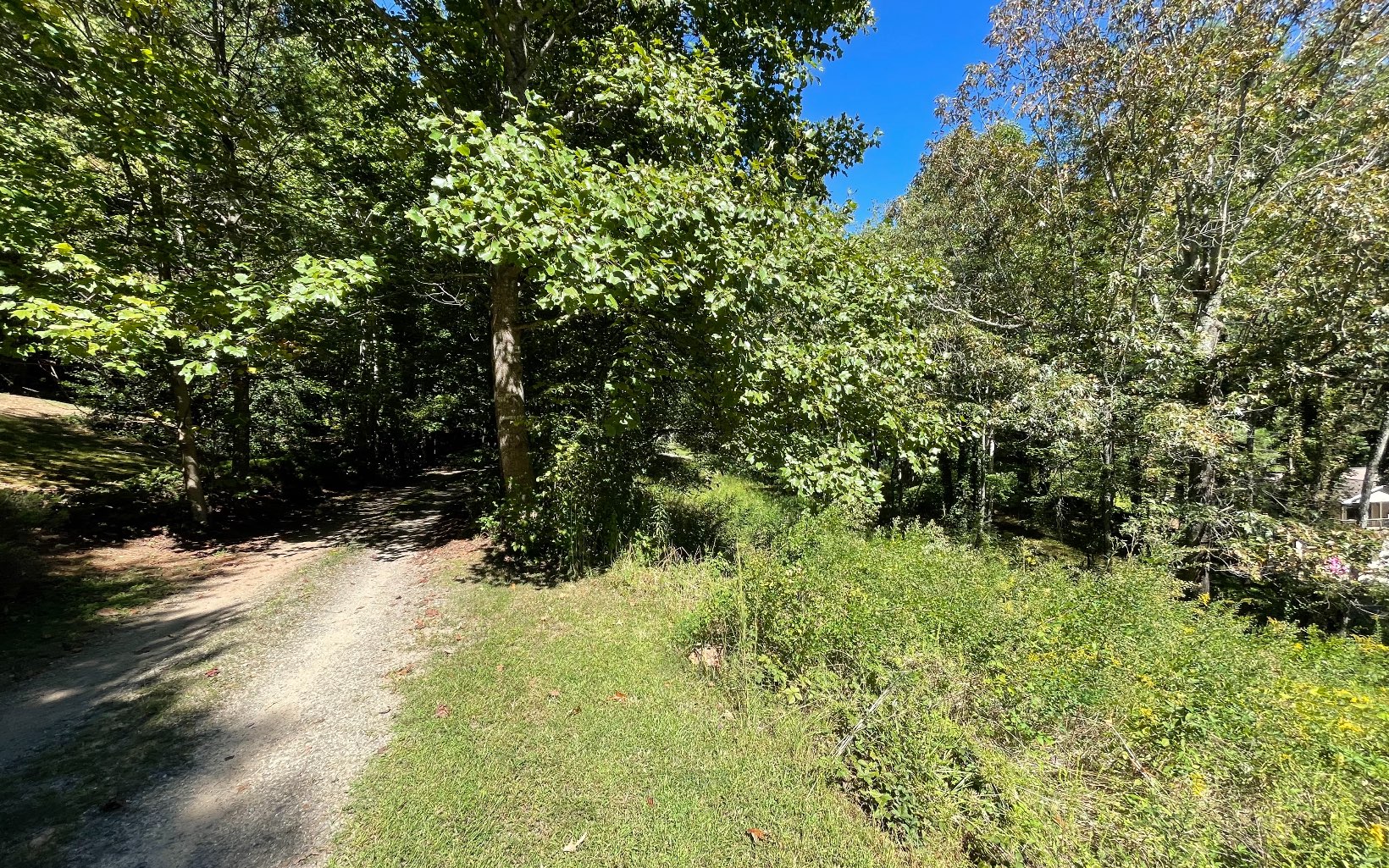 311495 Hayesville Vacant Lot