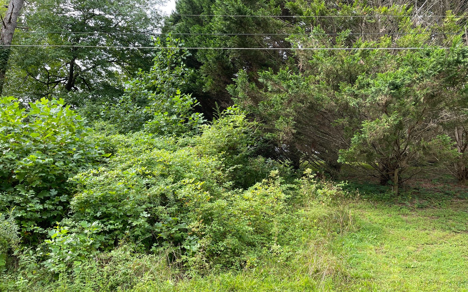 311726 Hayesville Land