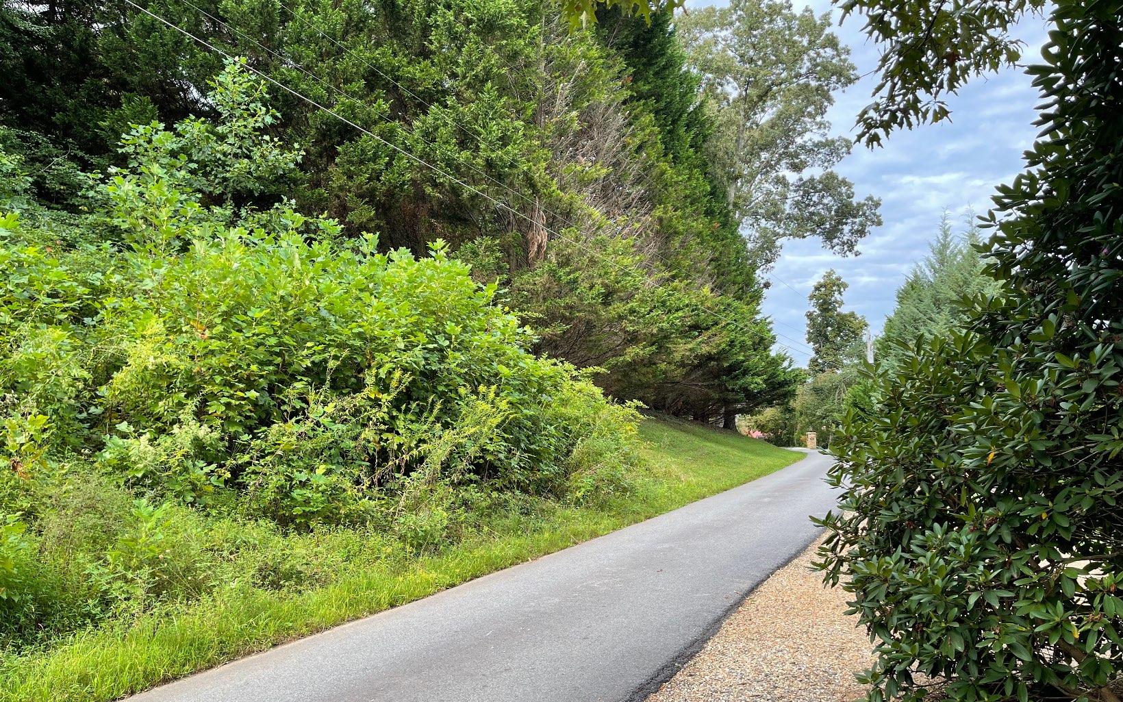 311726 Hayesville Land