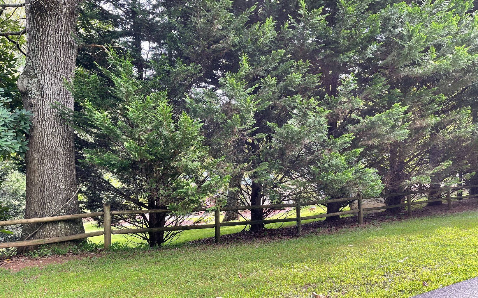 311726 Hayesville Land