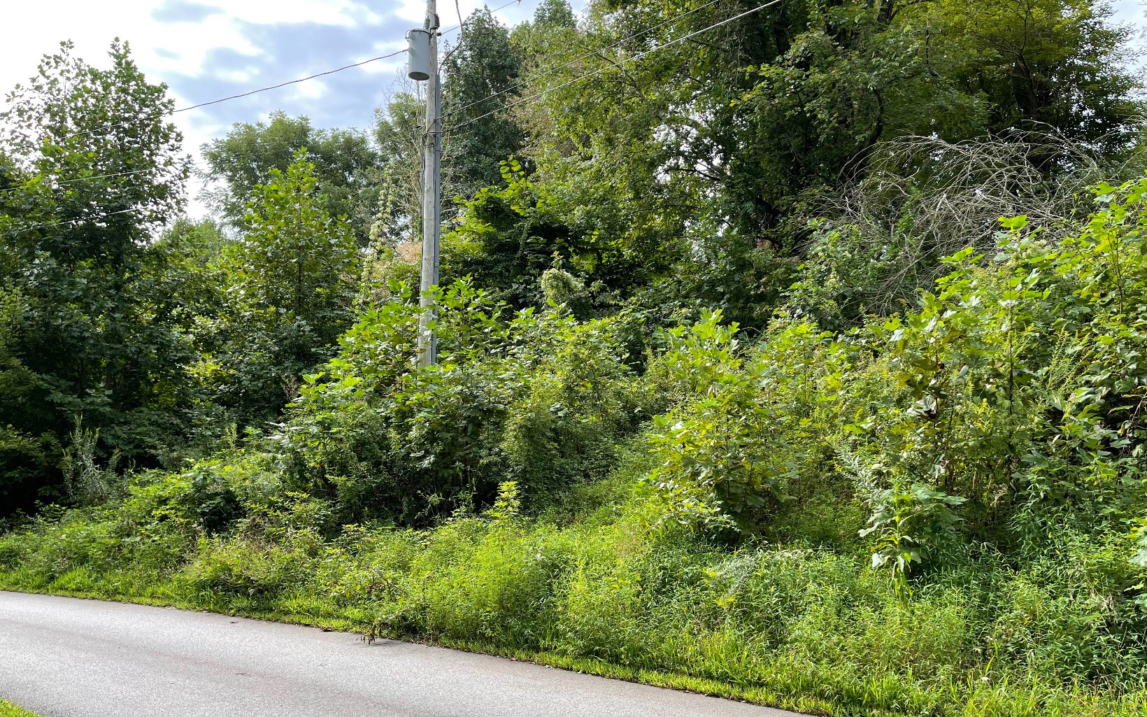 311726 Hayesville Land