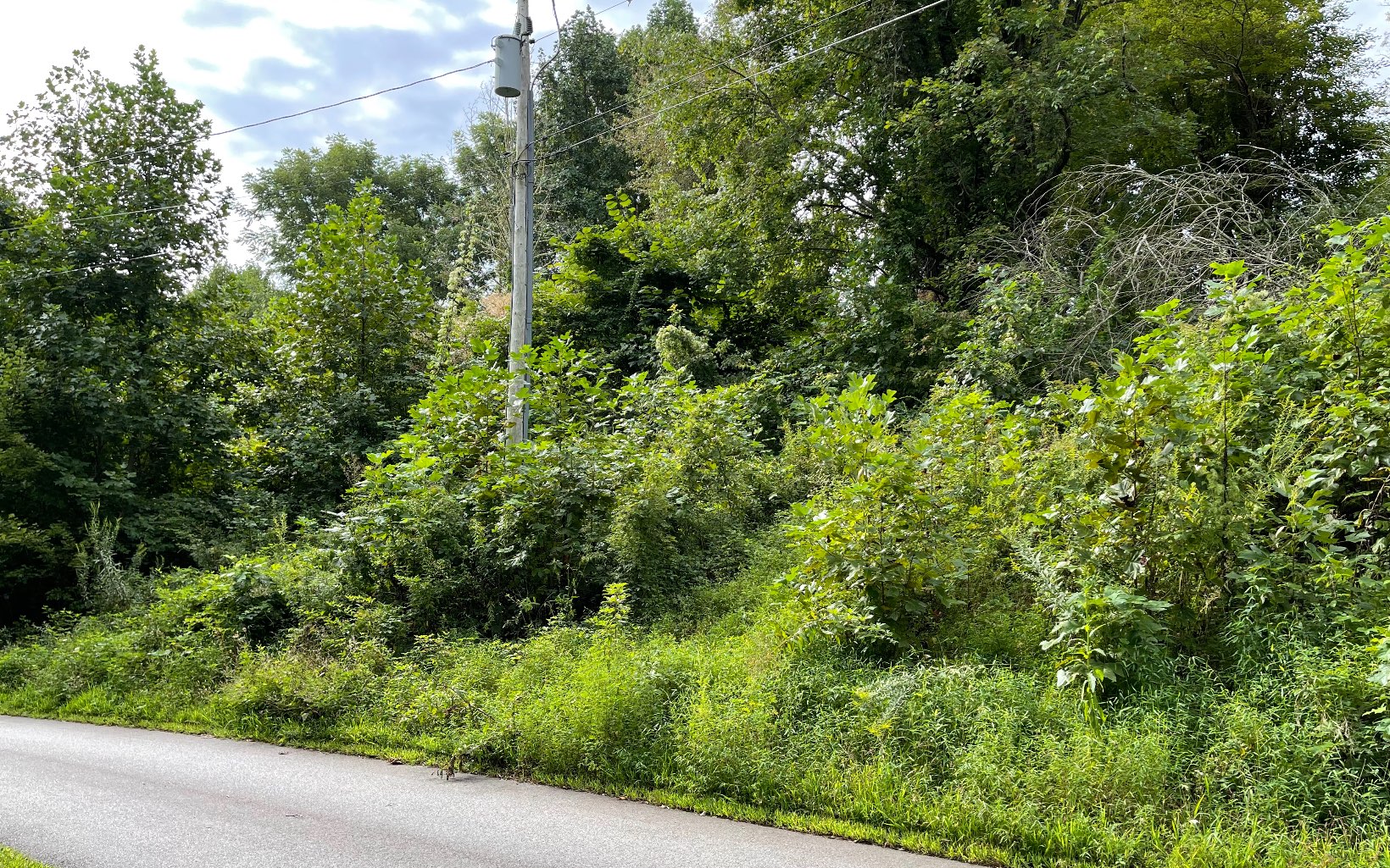 311726 Hayesville Vacant Lot