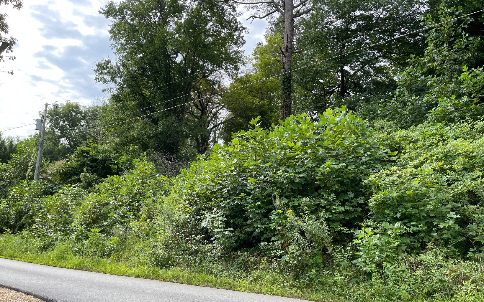 311726 Hayesville Vacant Lot