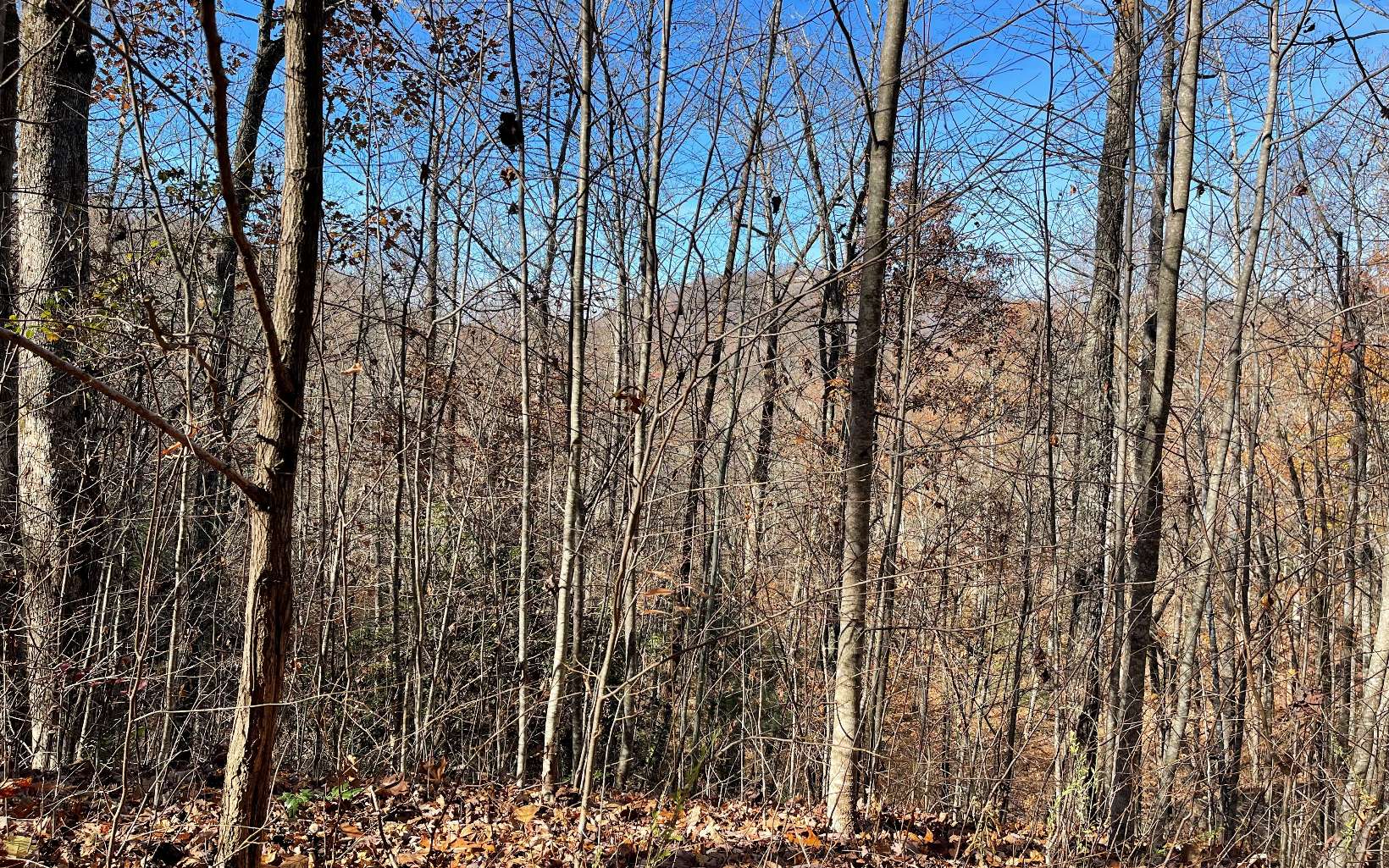 312491  Land