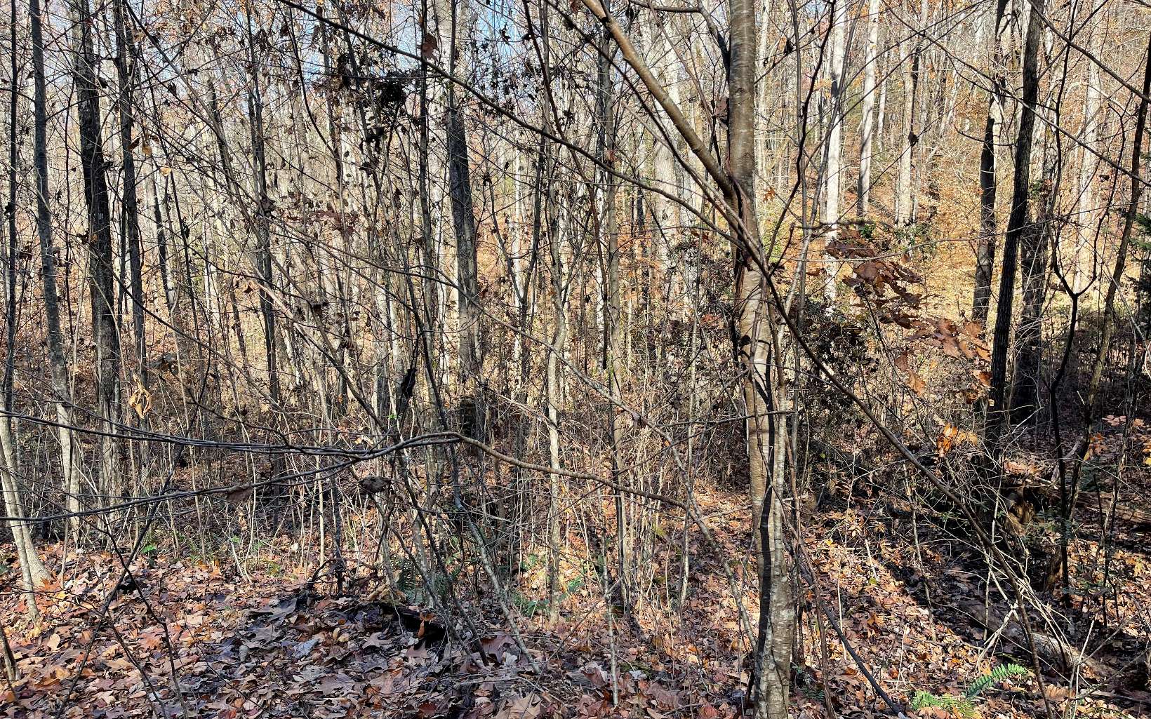 312501  Land