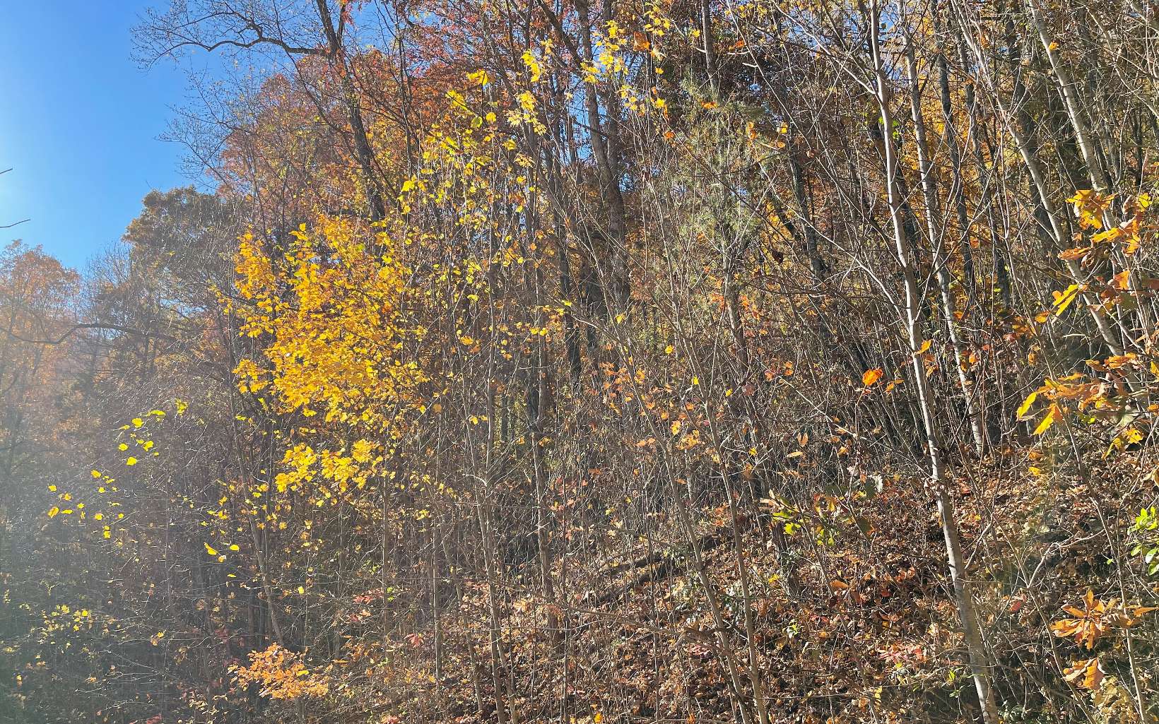 312508 Hayesville Land