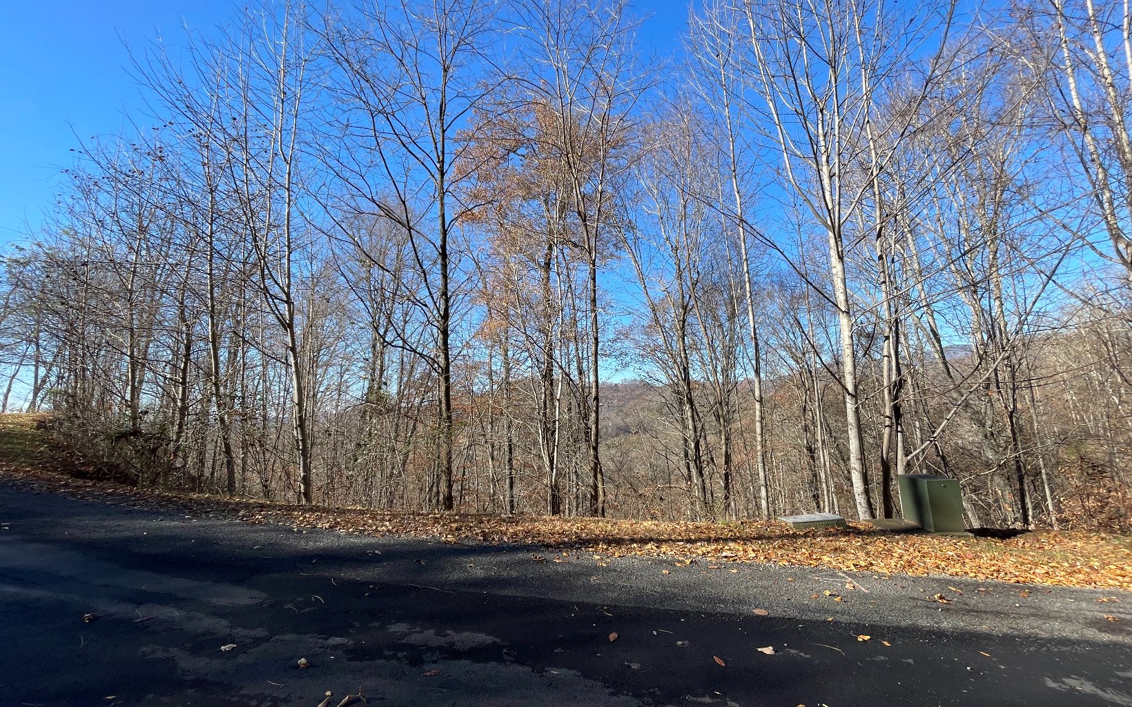 312566 Hayesville Vacant Lot