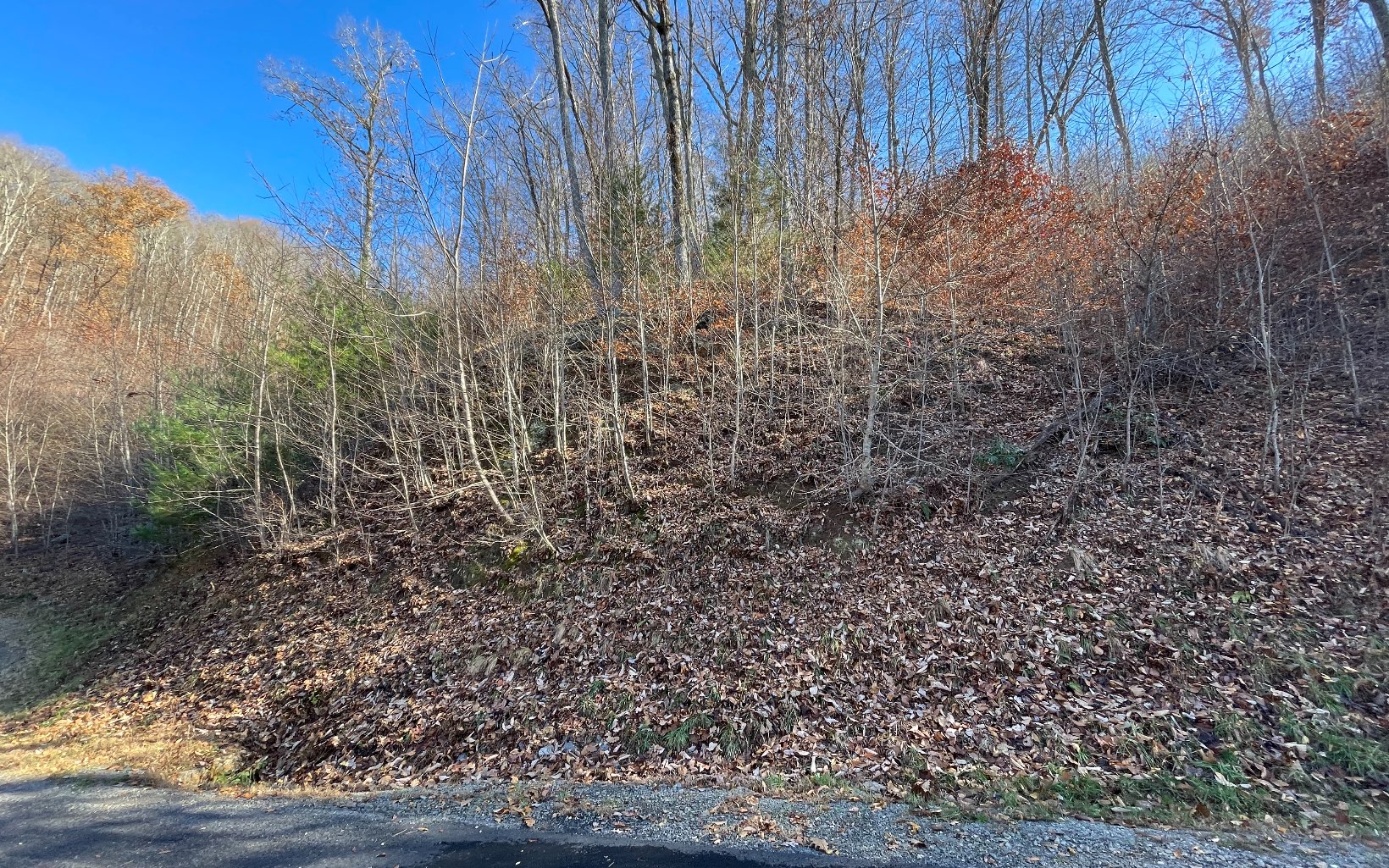 312566 Hayesville Vacant Lot