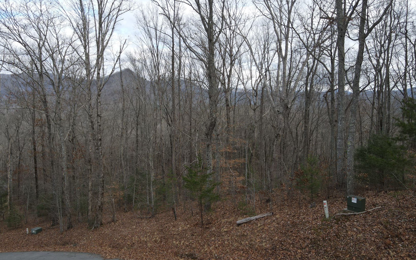 313032 Hiawassee Land