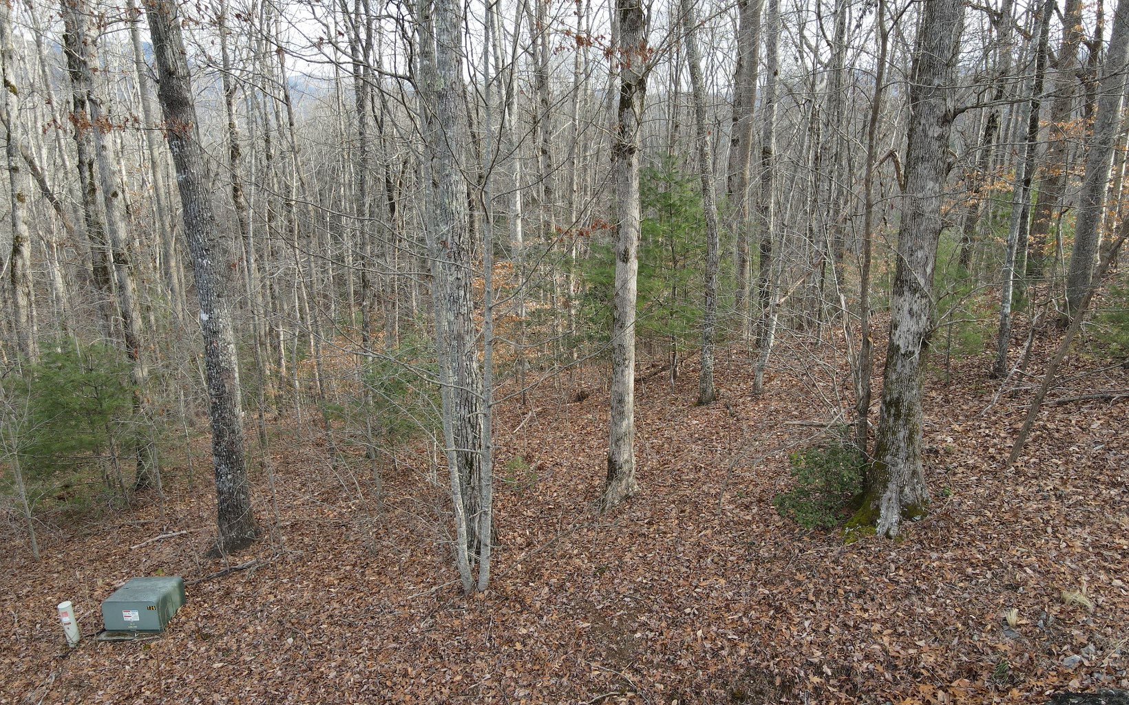 313032 Hiawassee Land