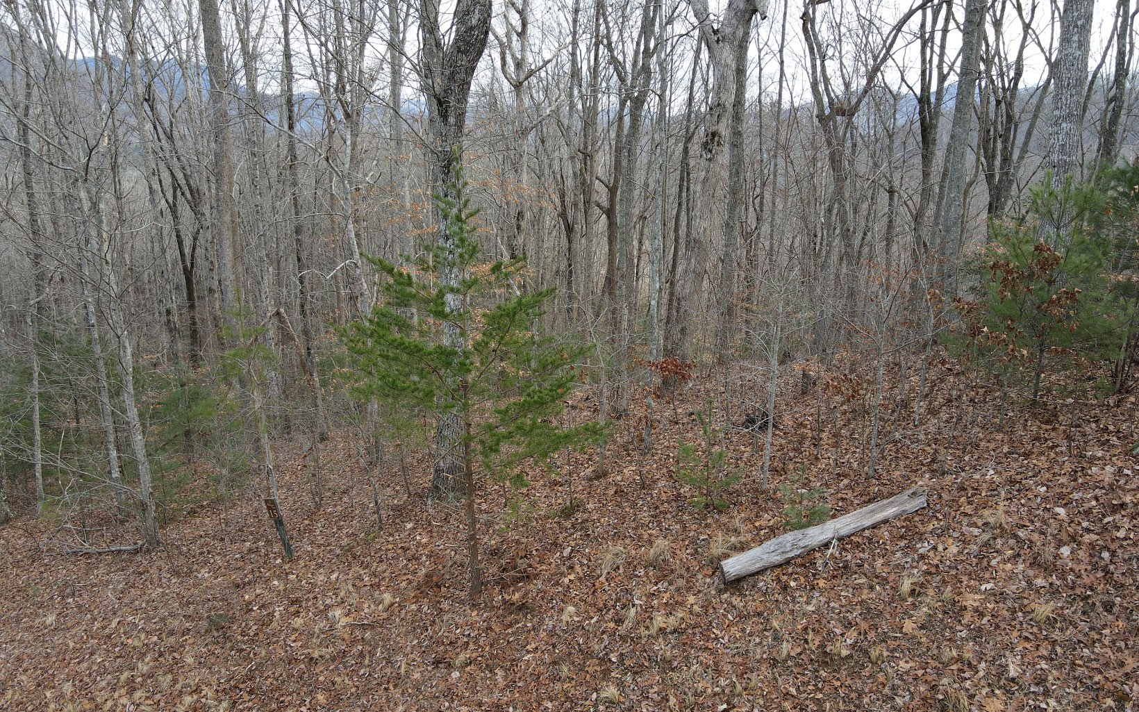 313032 Hiawassee Land