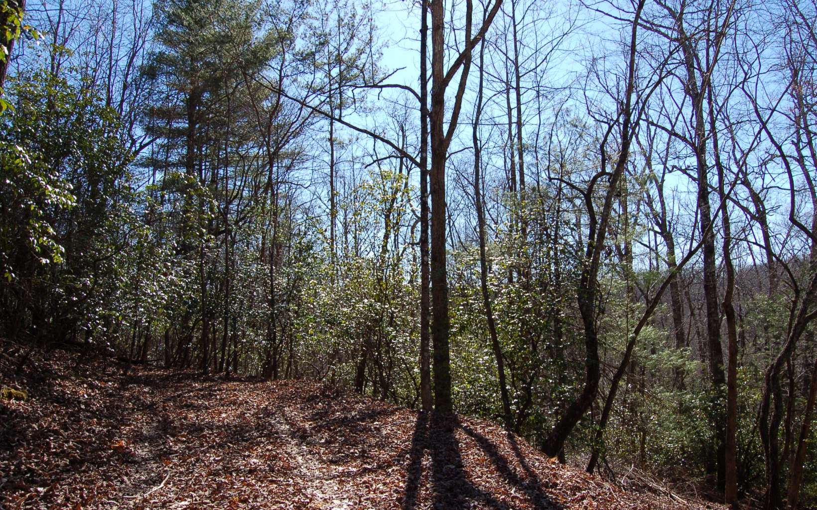 314149 Hayesville Land