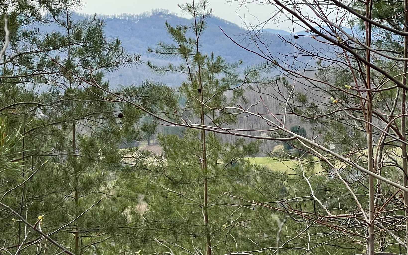 315042  Land