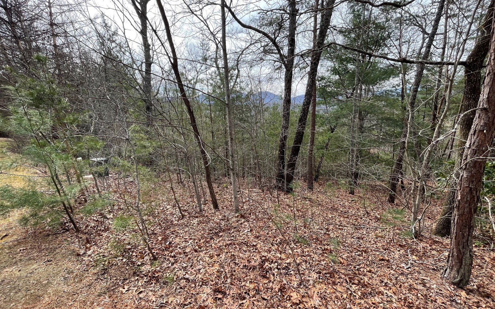 315042 Hayesville Land