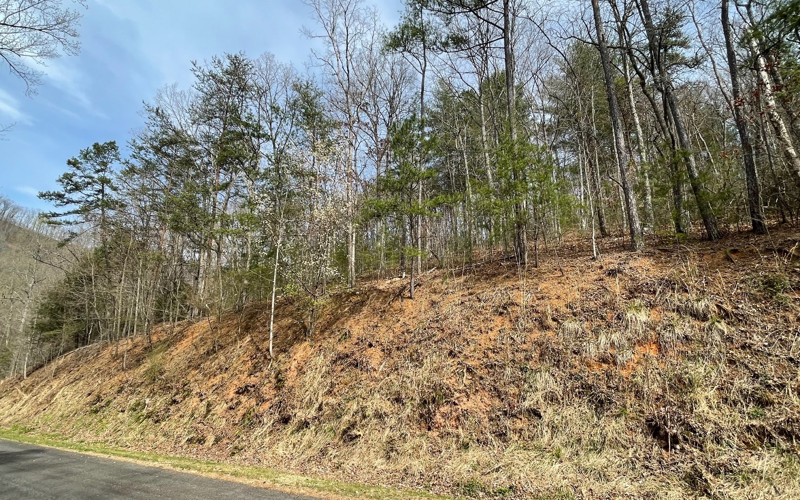 315042 Hayesville Land