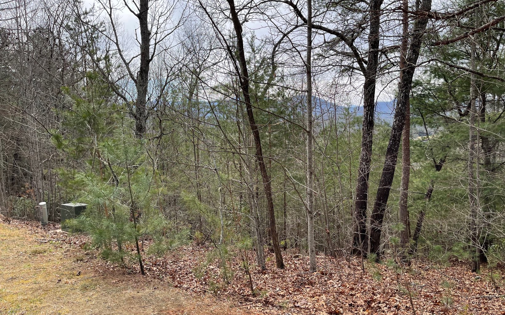 315042 Hayesville Land