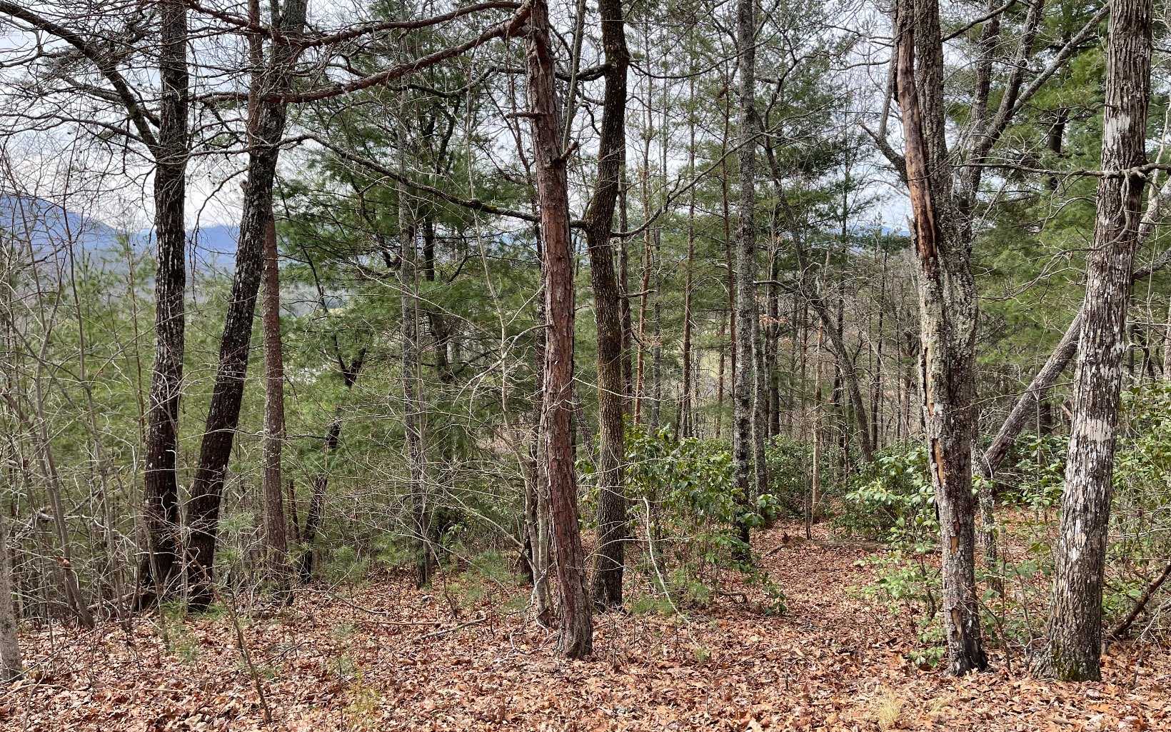 315042 Hayesville Land