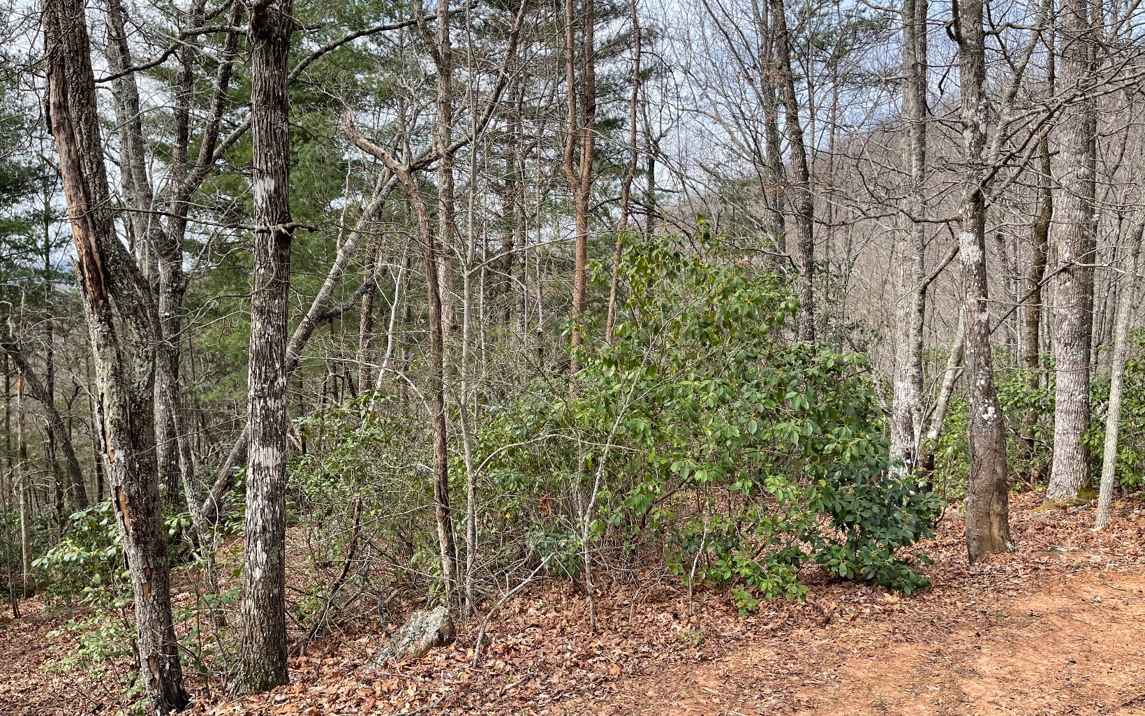 315042 Hayesville Land