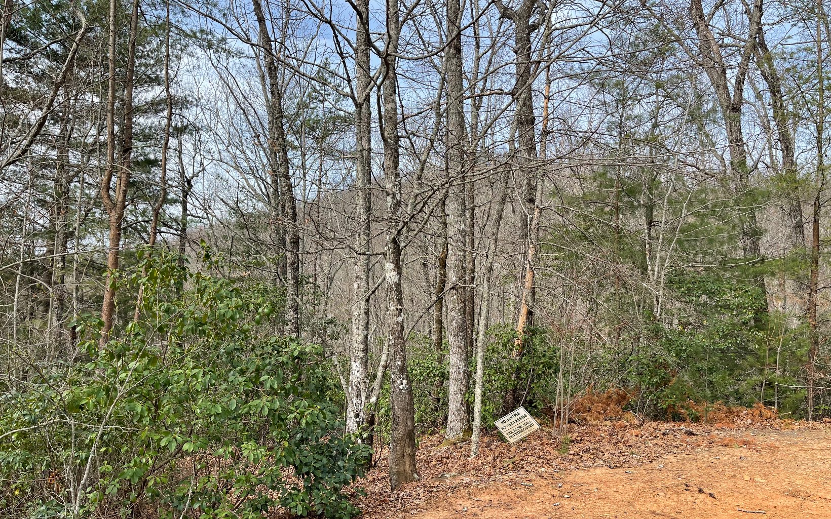 315042 Hayesville Land