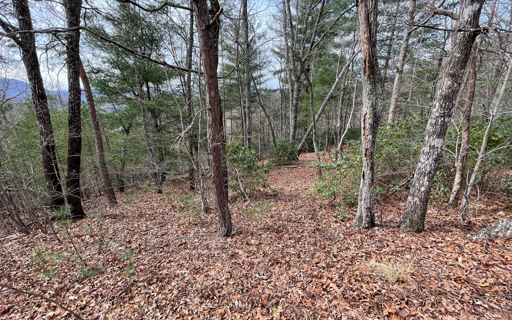 315042 Hayesville Land