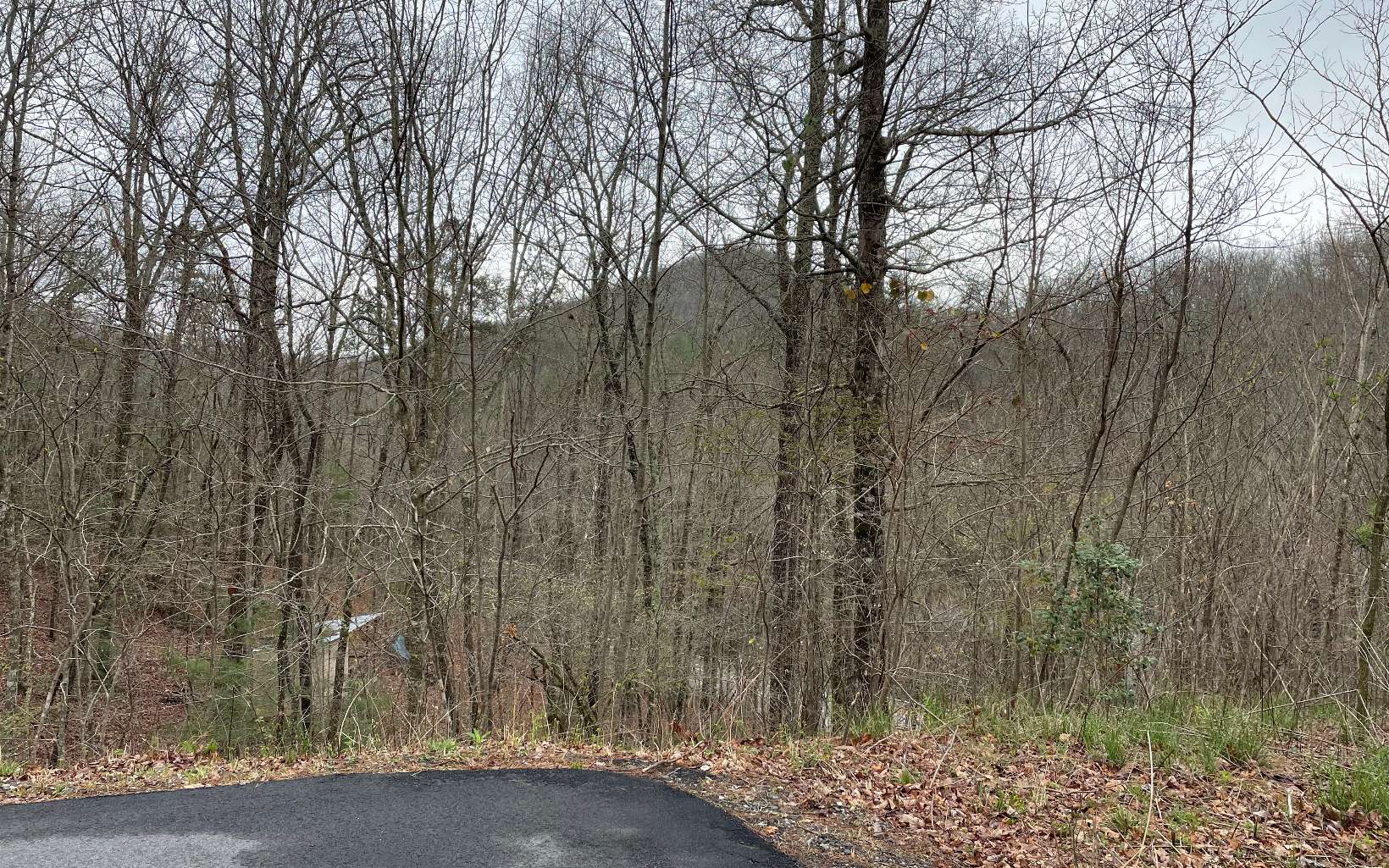 315081 Hayesville Land