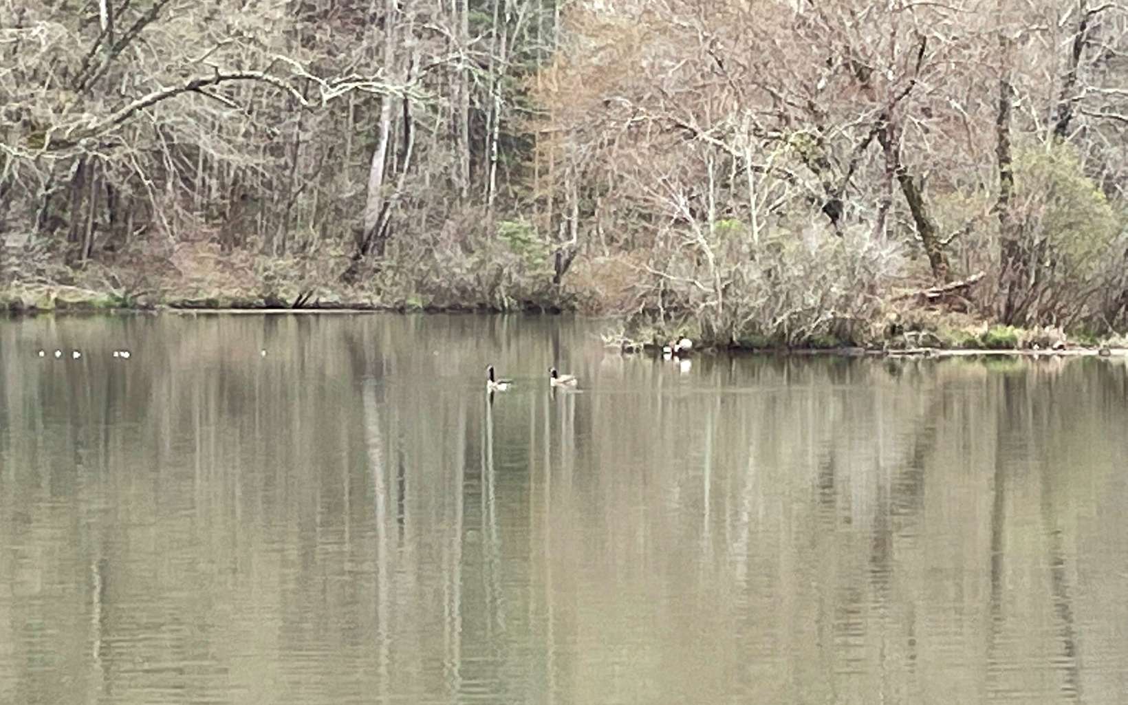 315081 Hayesville Land