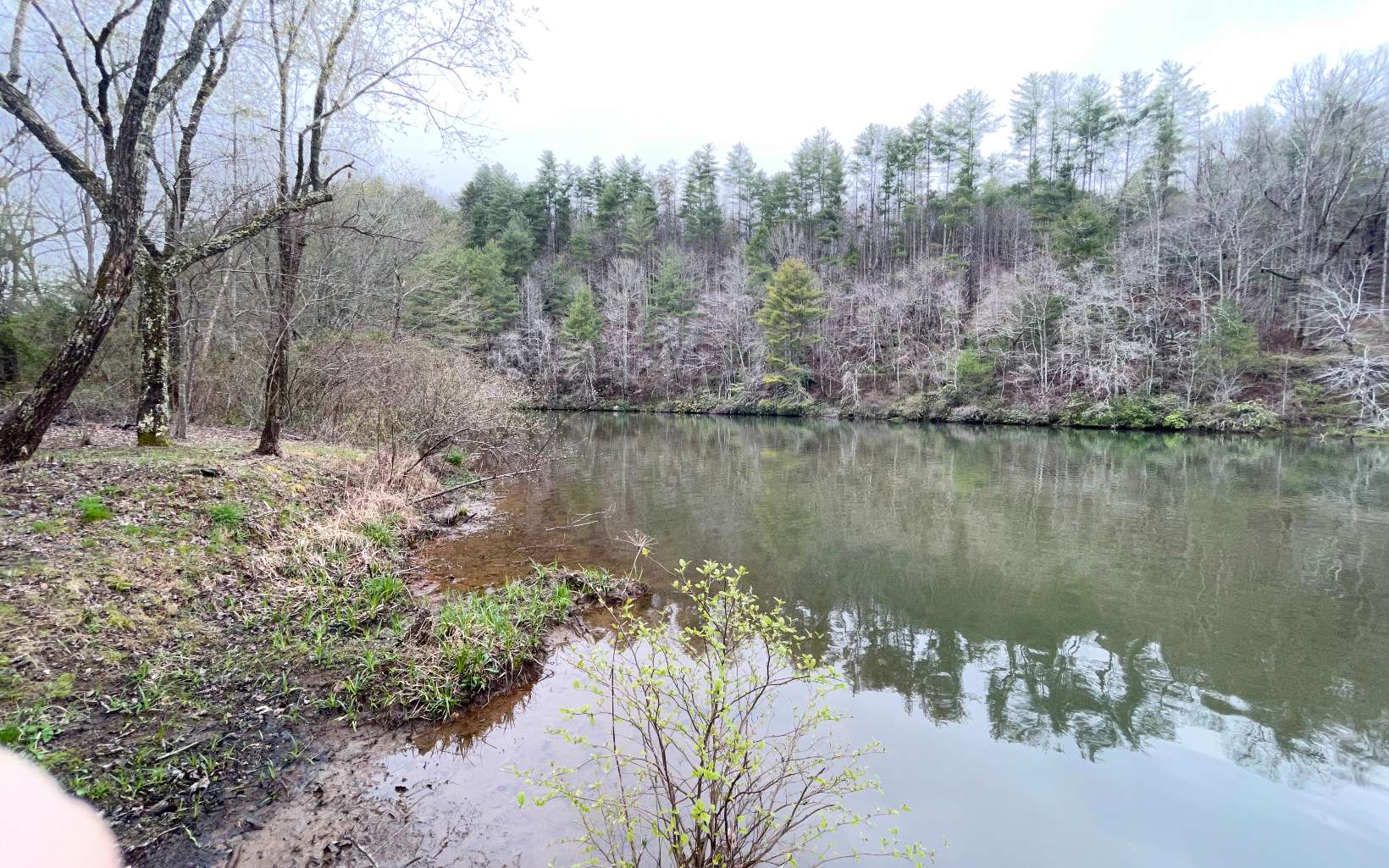 315081 Hayesville Land