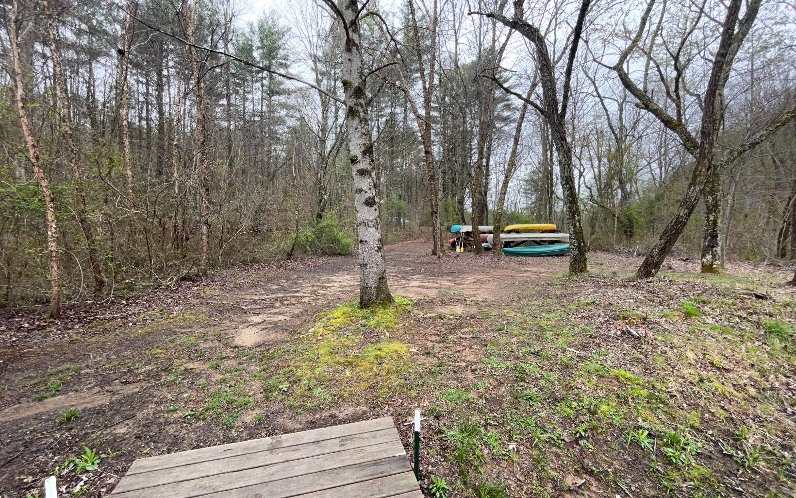 315081 Hayesville Land