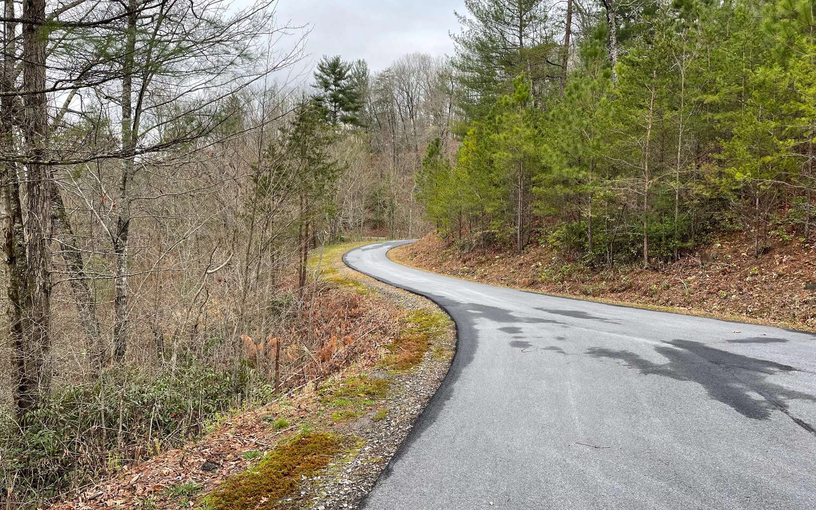 315081 Hayesville Land