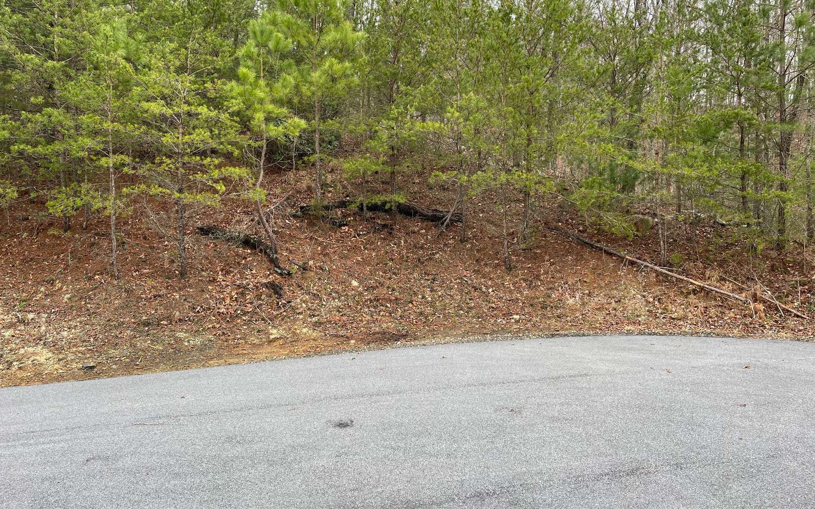315081 Hayesville Land