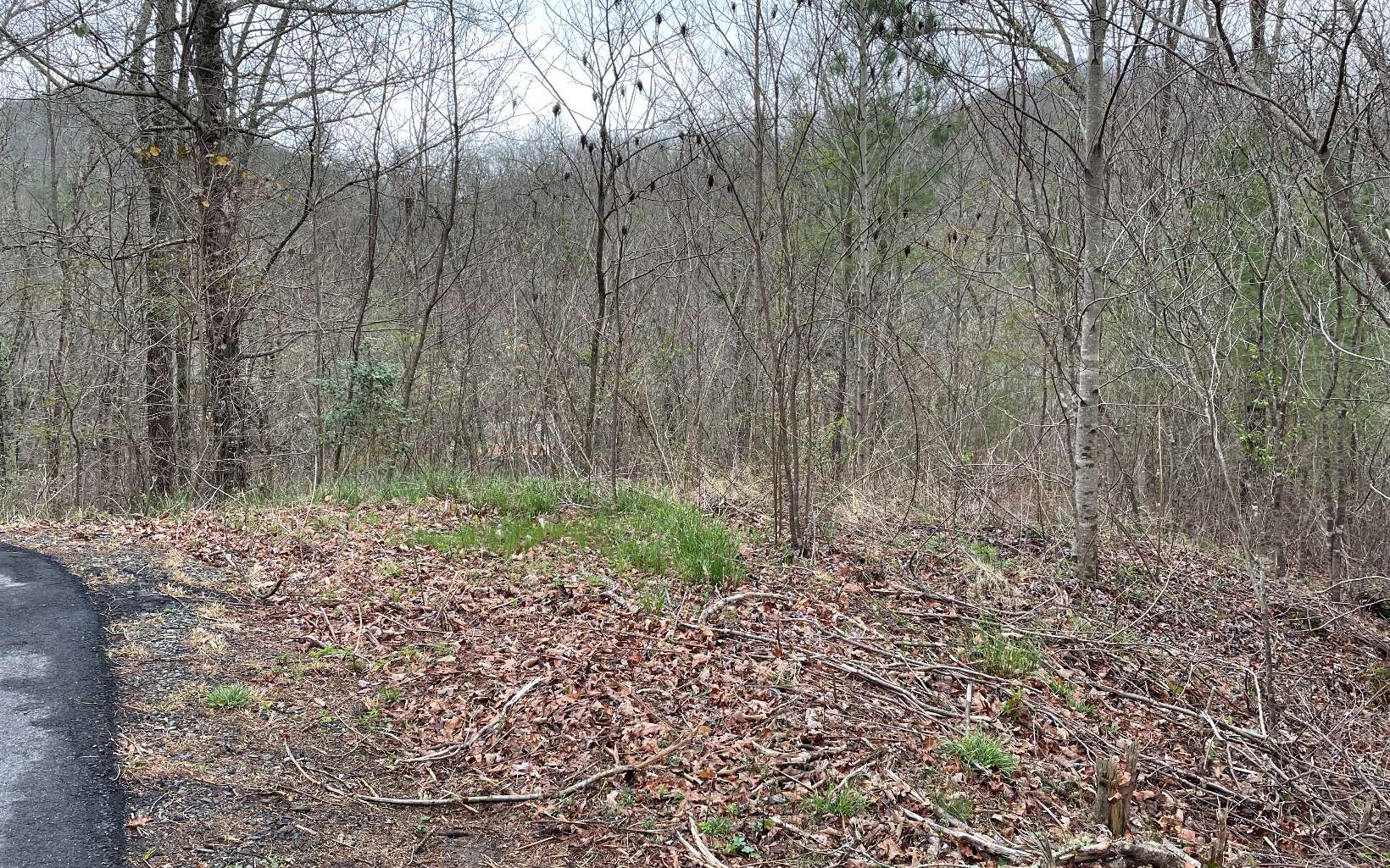 315081 Hayesville Land