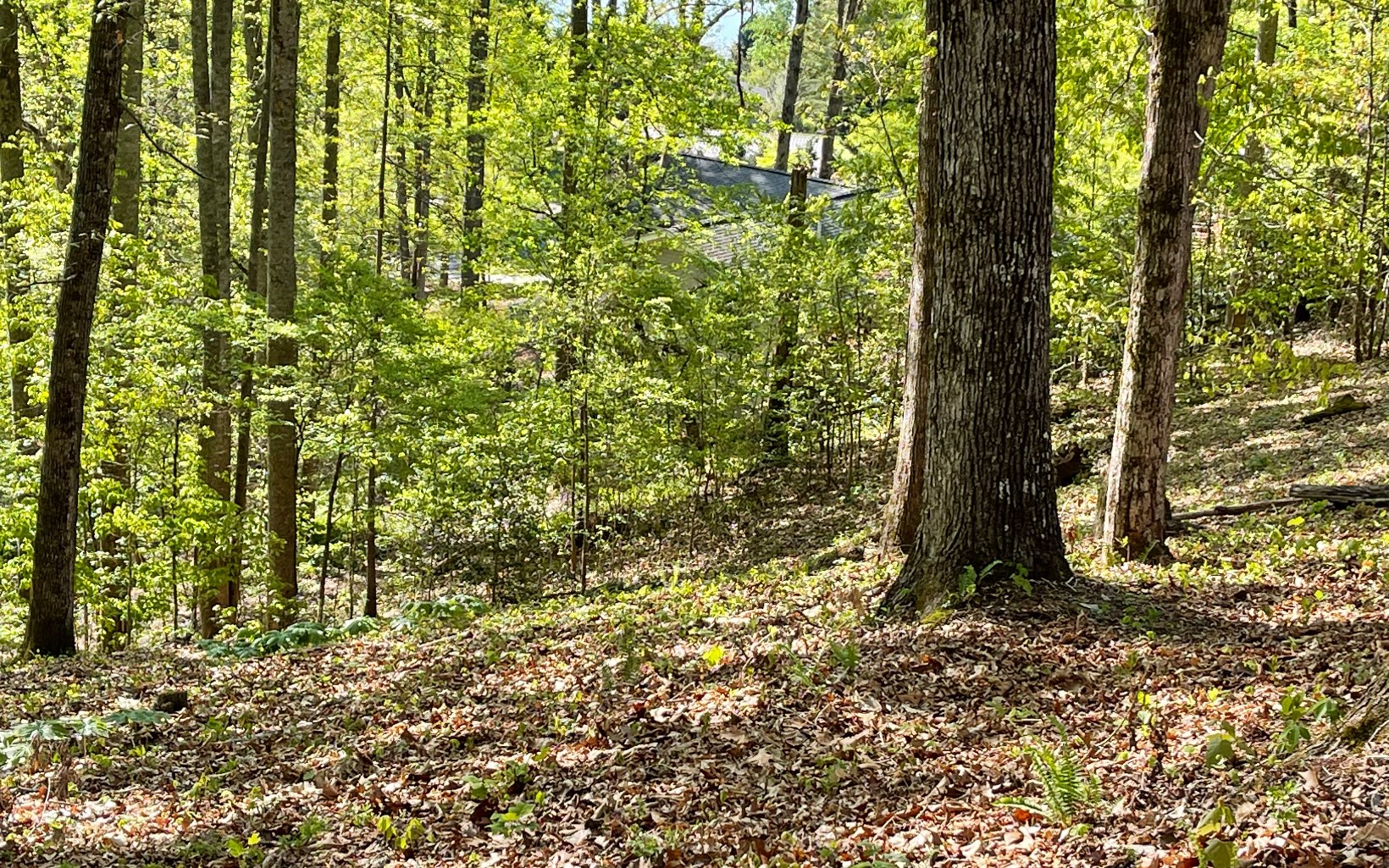 316180 Road Land