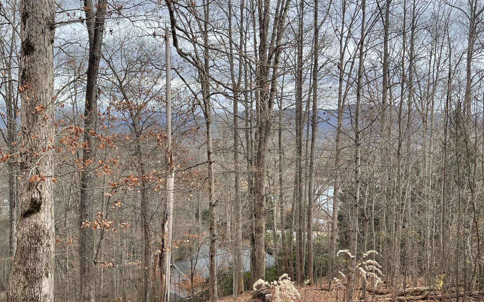 316180 Road Land
