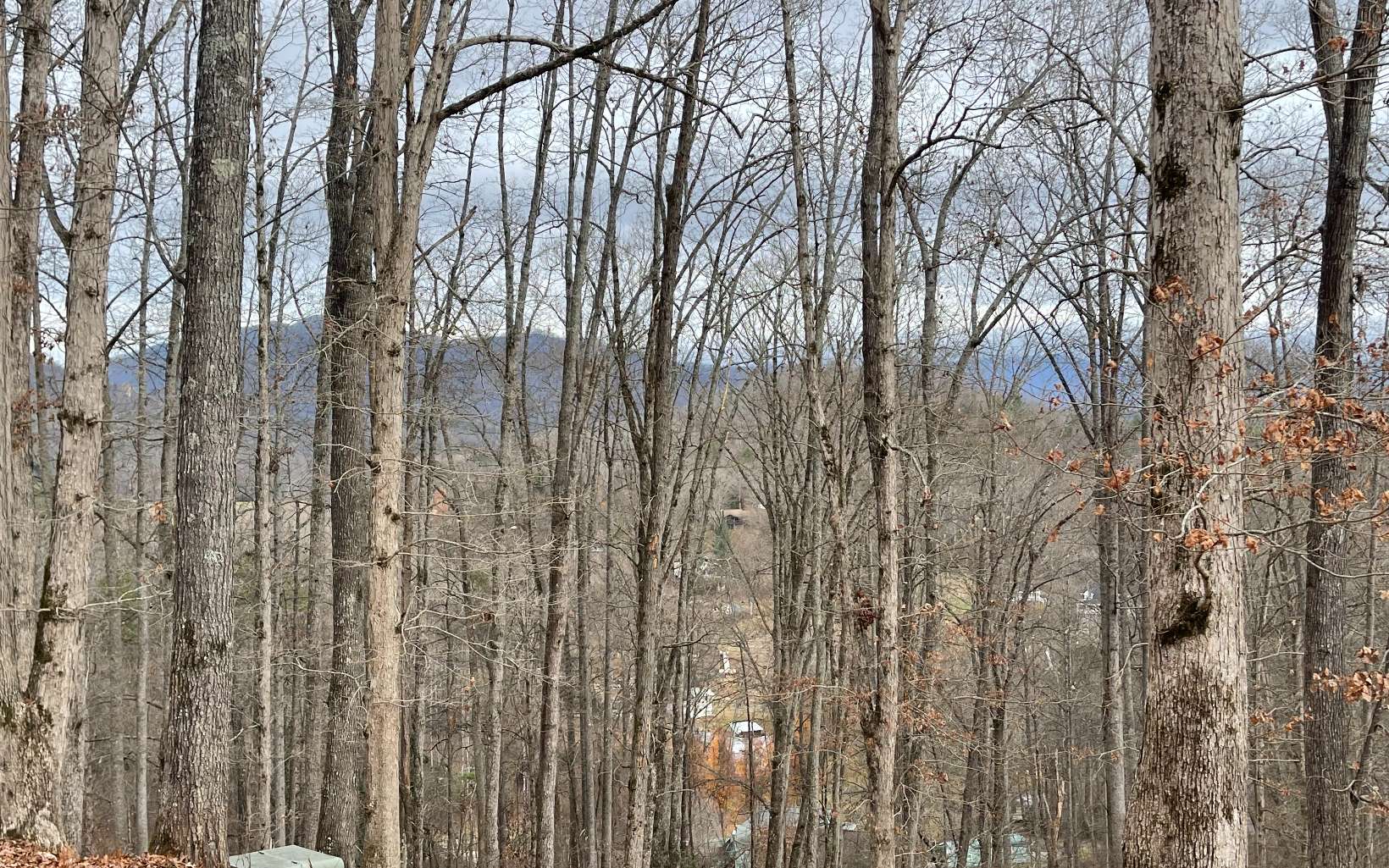 316180 Road Land