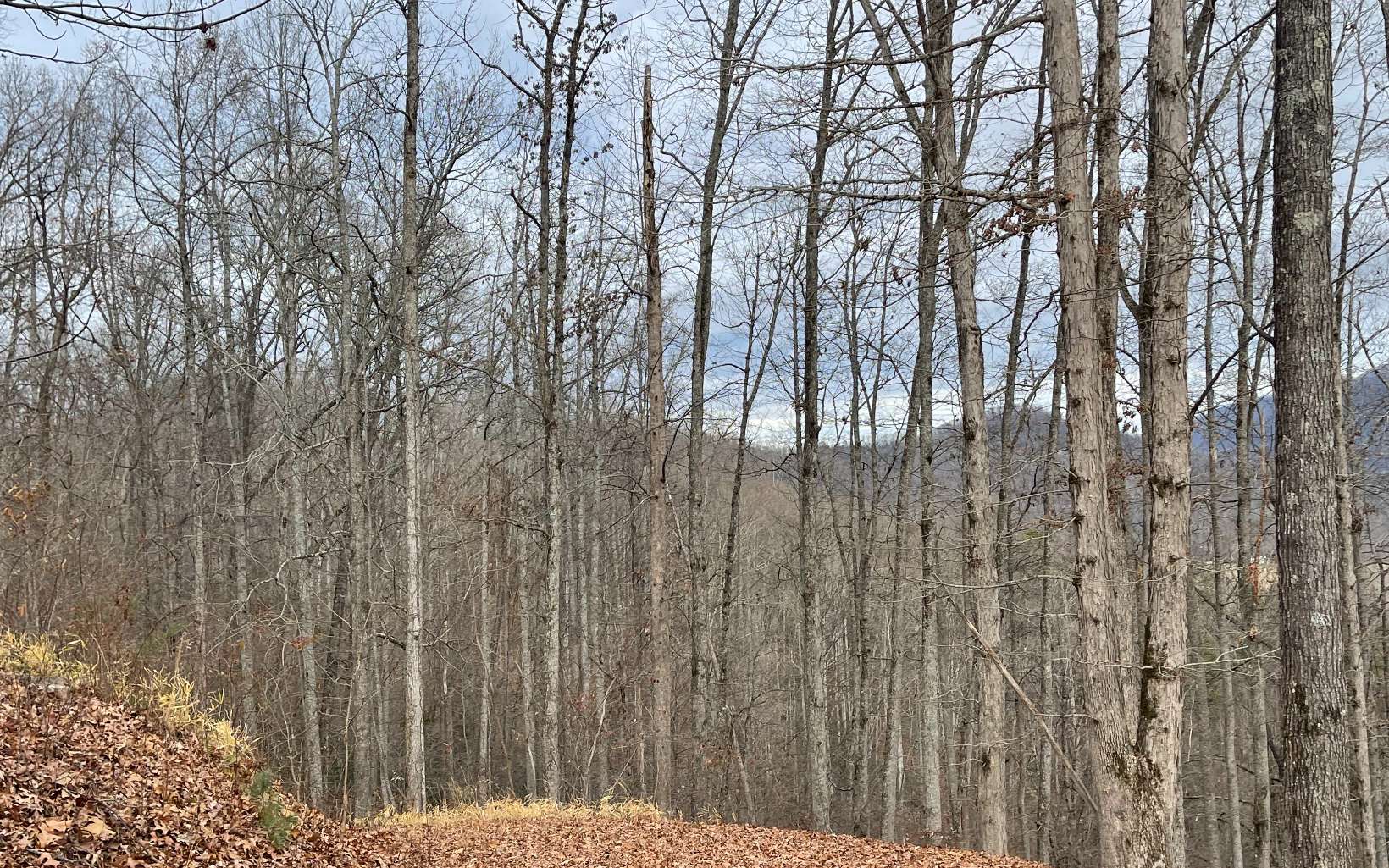 316180 Road Land