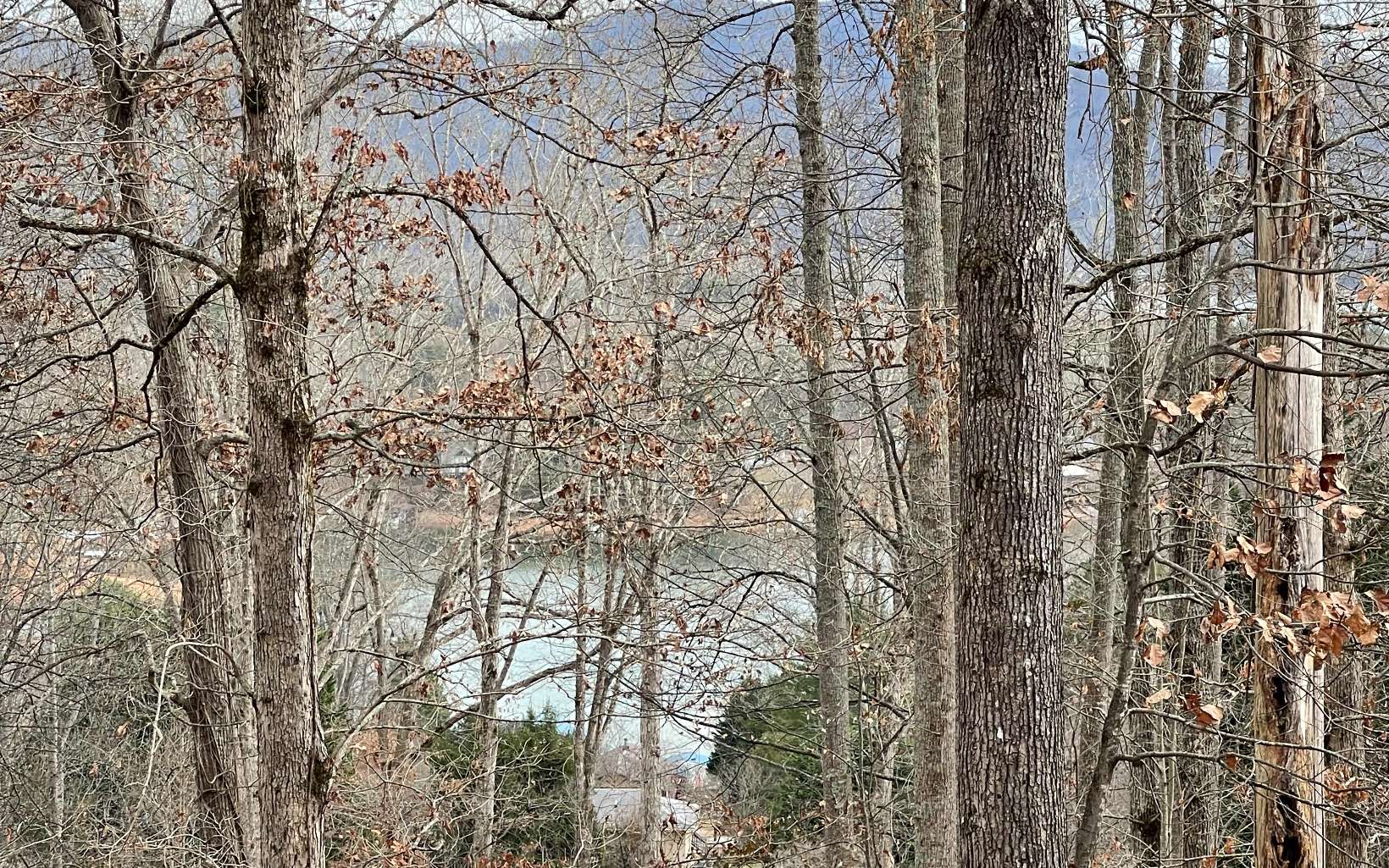 316180 Road Land