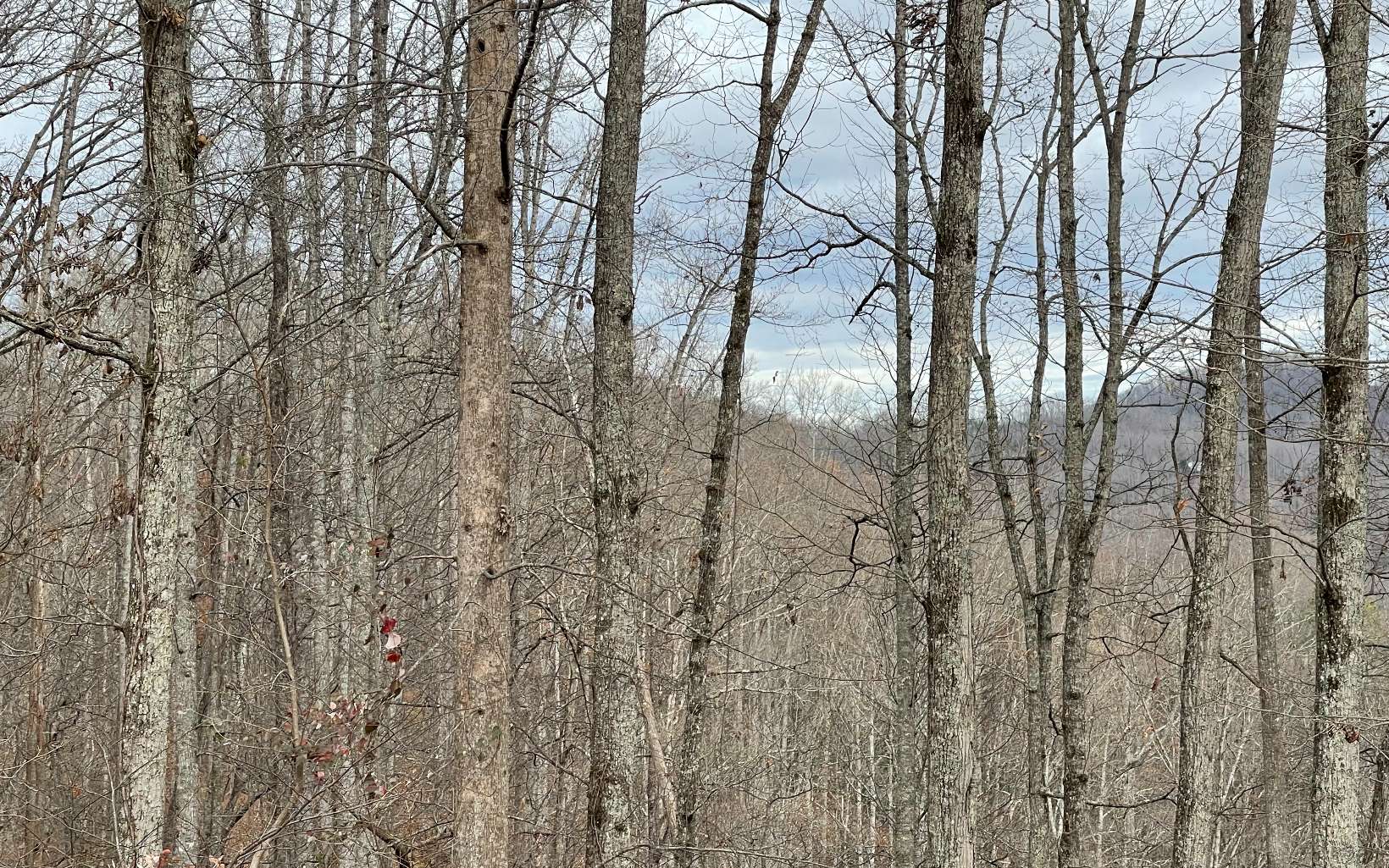 316180 Road Land