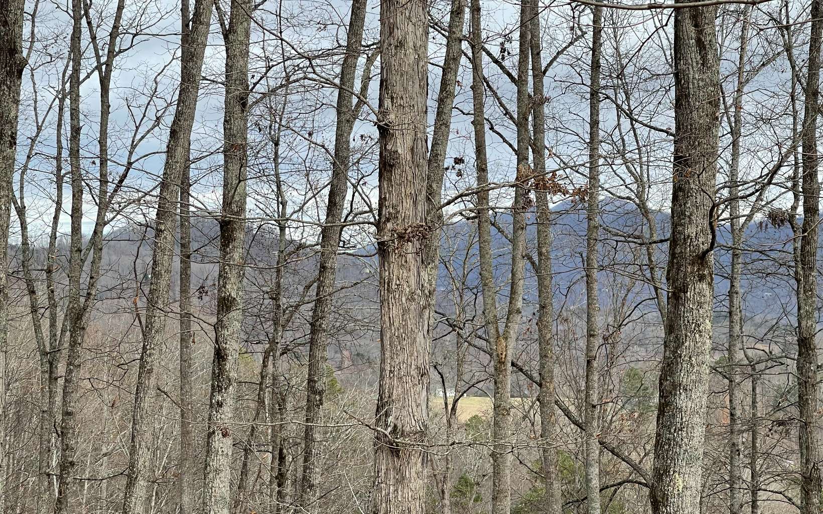 316180 Road Land