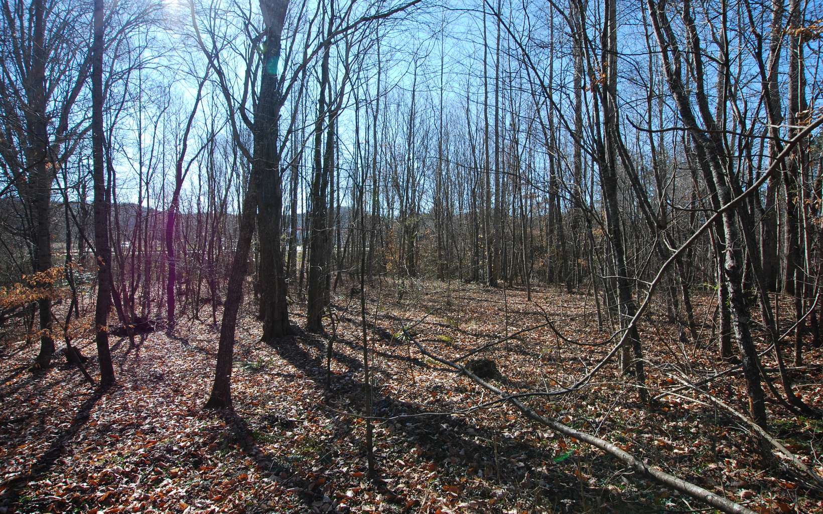 316849 Hayesville Commercial Lot