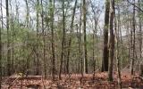 317033  Land