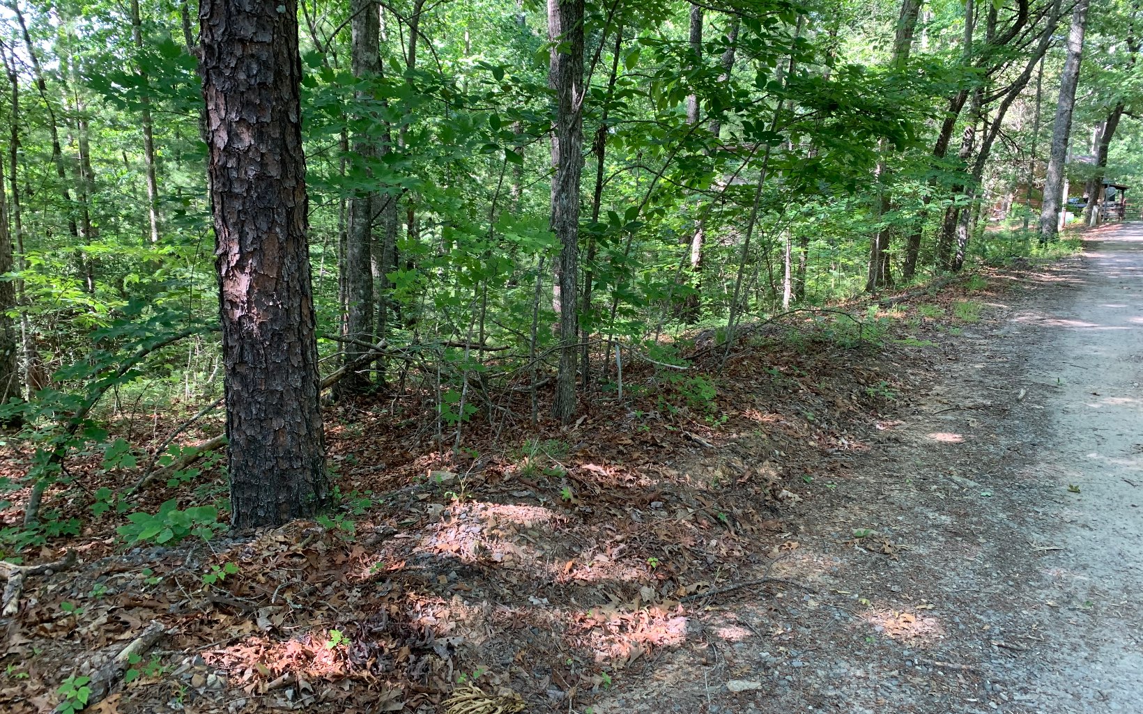 317033 Murphy
 Land
